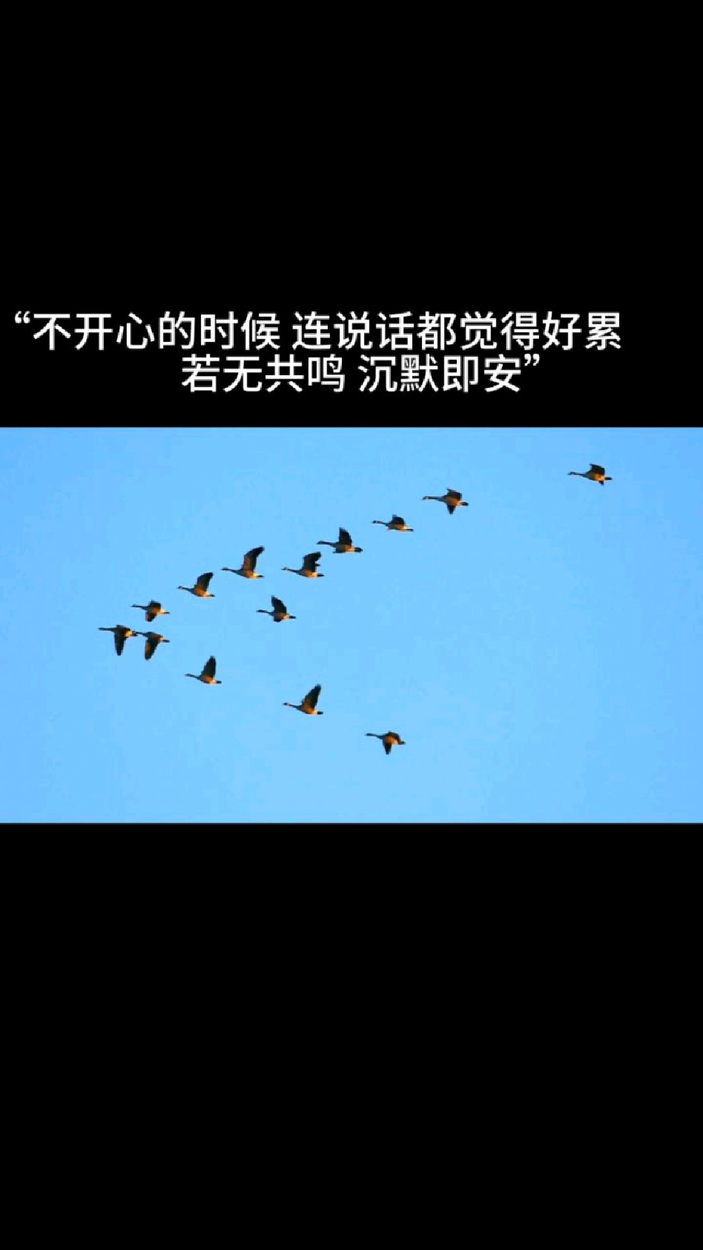 "不开心的时候 连说话都觉得好累 若无共鸣 沉默即安"