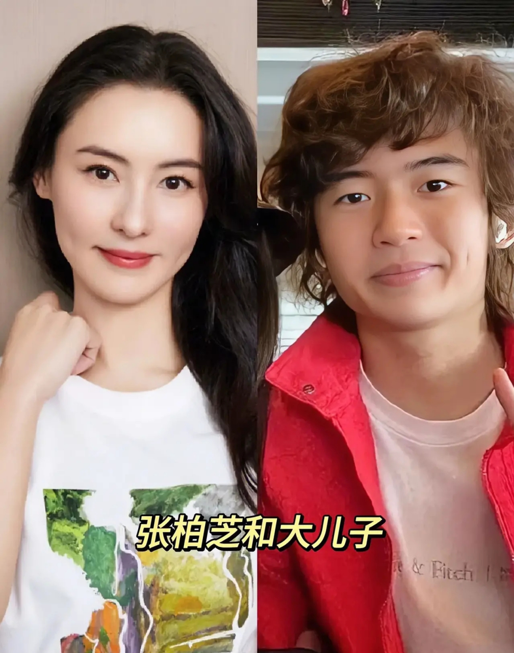 有时候基因真的很难讲,张柏芝和大儿子 67张柏芝大儿子lucas小时候