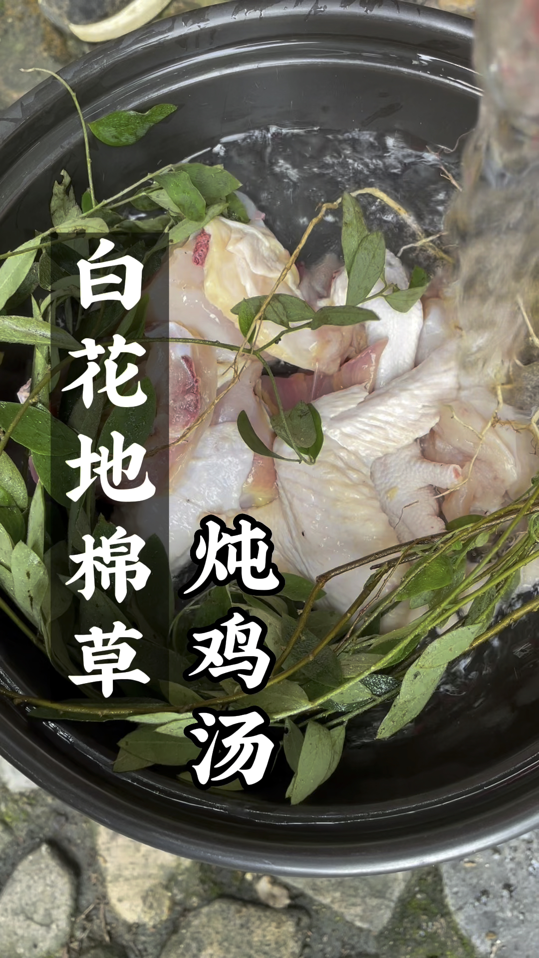 百花地棉草这可是煲汤的好食材