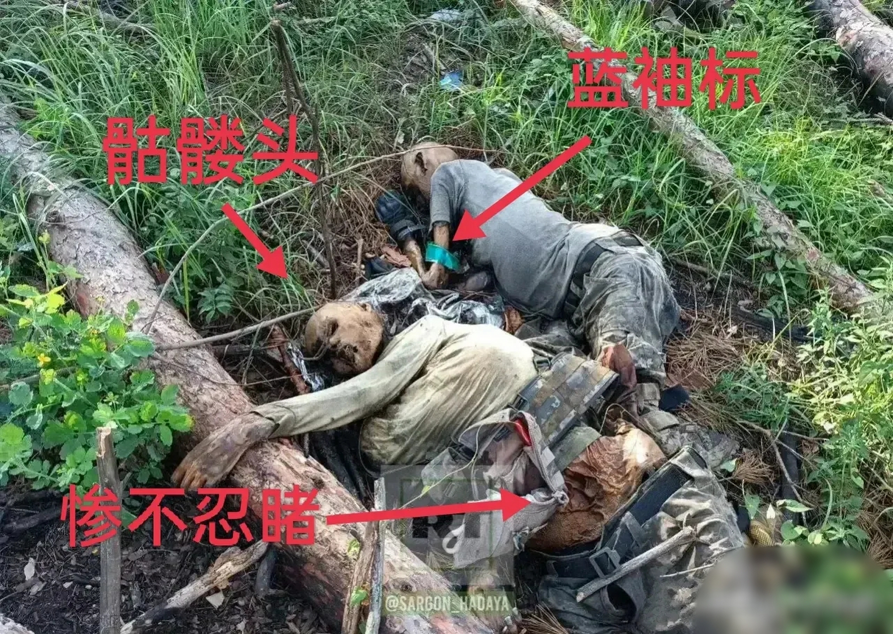 战死乌军风化腐烂成骷髅.