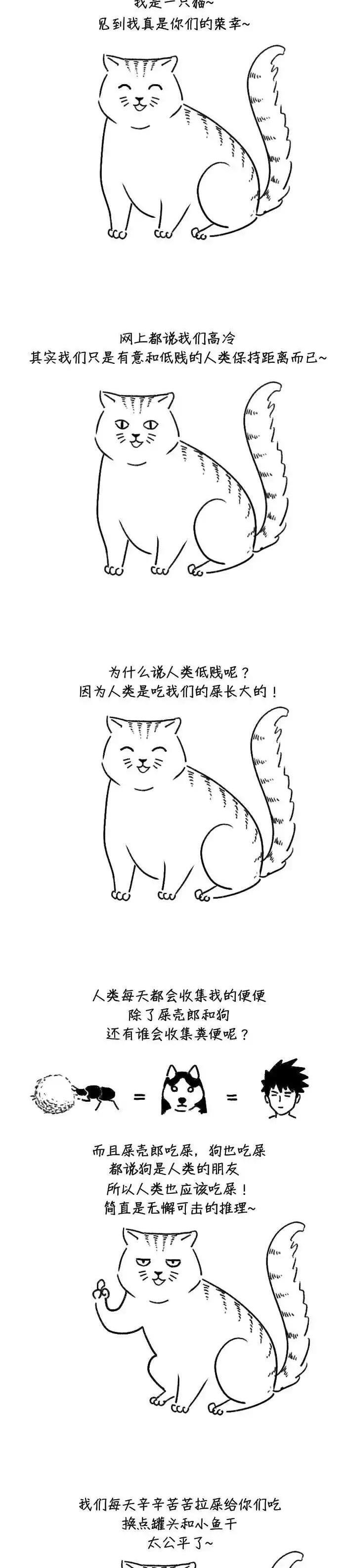 搞笑漫画 思考人生的猫