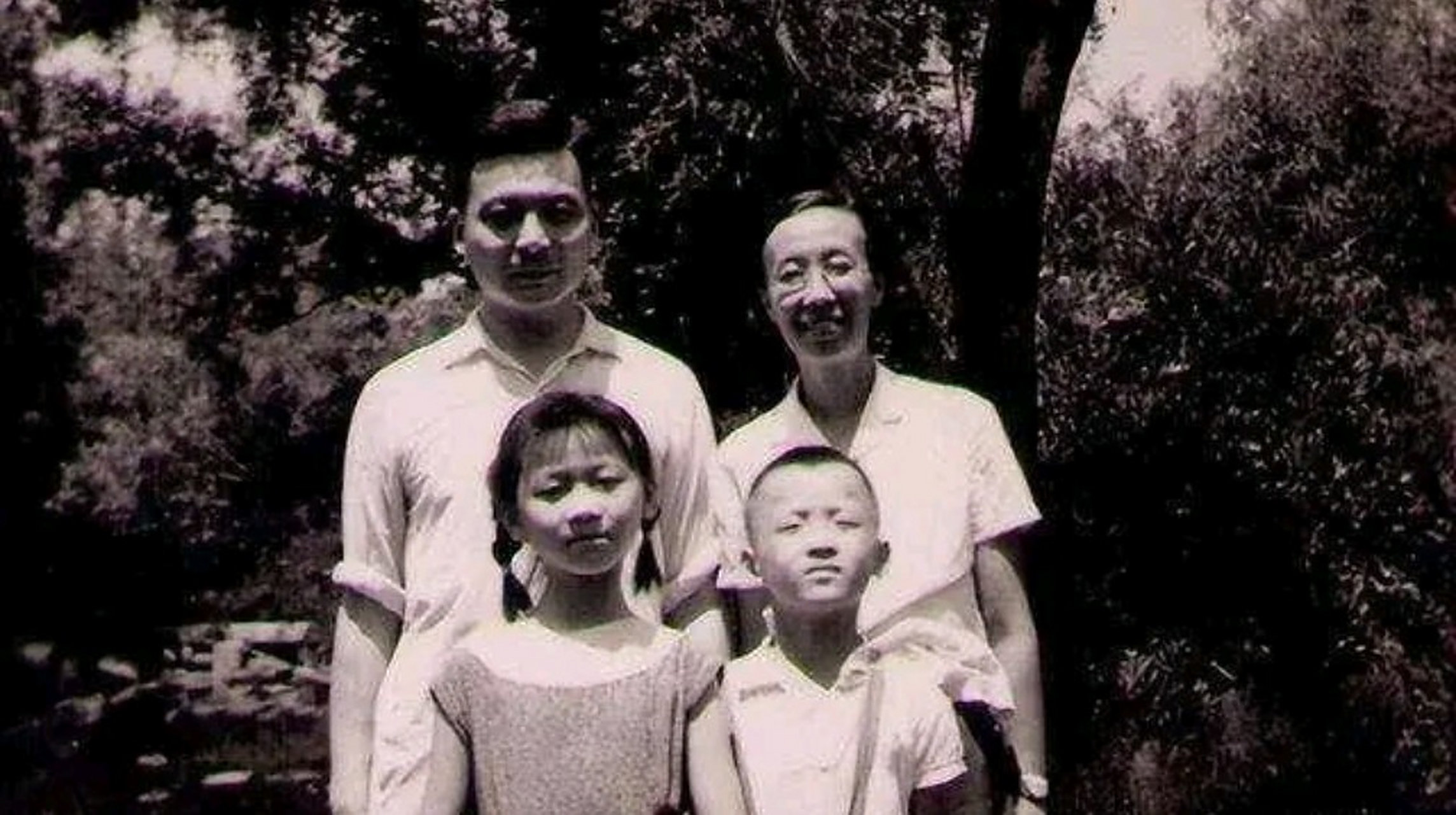 邓志典随即回答说:"看过", 邓稼先继续凝视着女儿. 邓志典稍作停顿