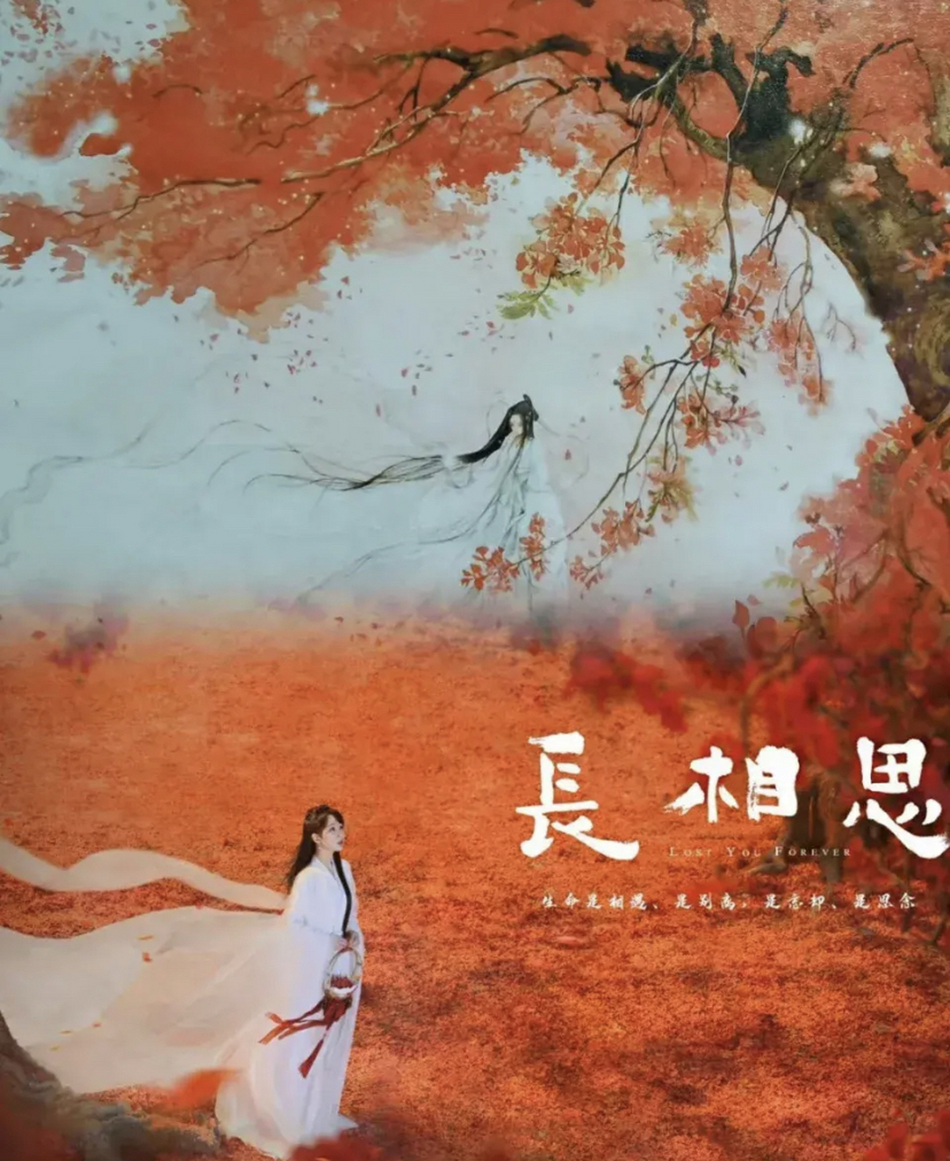 桐华的长相思,我看过不下三遍, 很佩服她强大的小说架构能力, 当时就