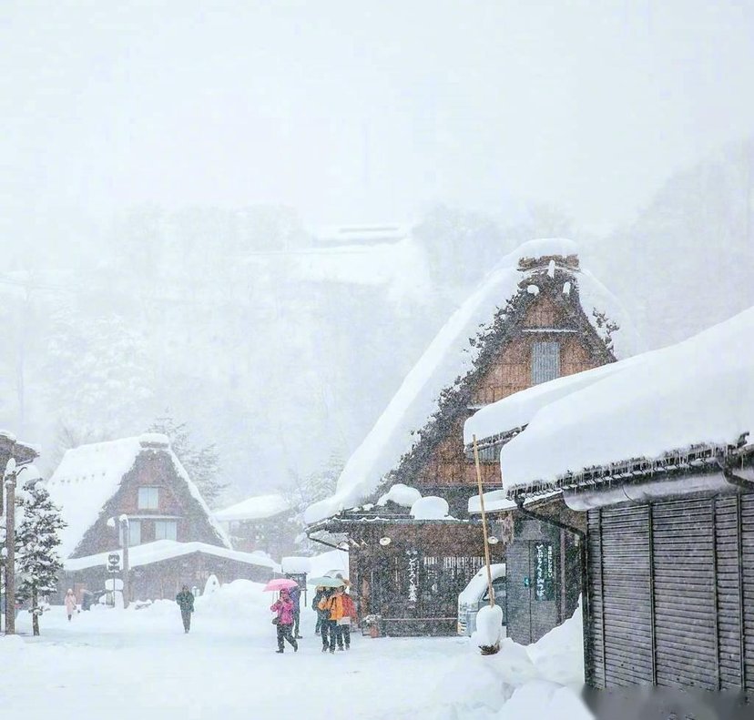 素冰弥泽,白雪依山