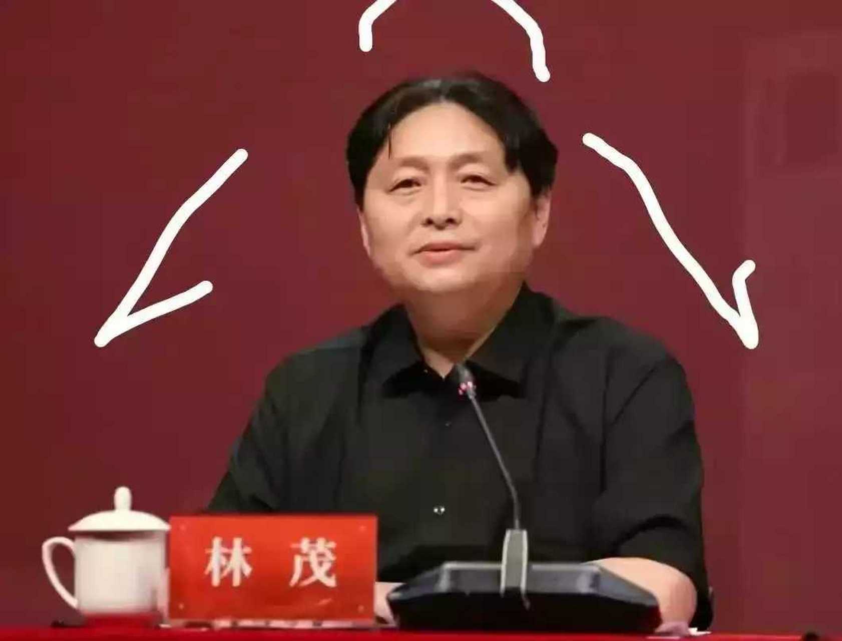清华大学美术学院院长这发型,真的雷人,  美院就是引导潮流,院长真的