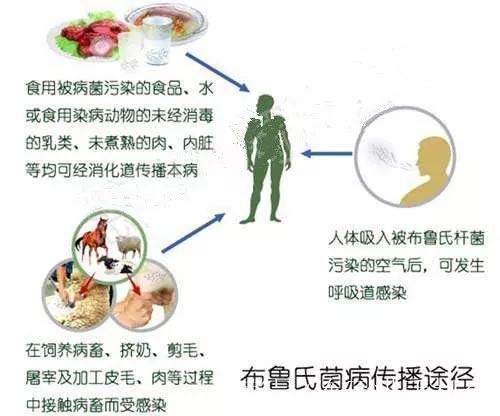 兰州兽研所布病超3000人阳性,究竟怎么回事?