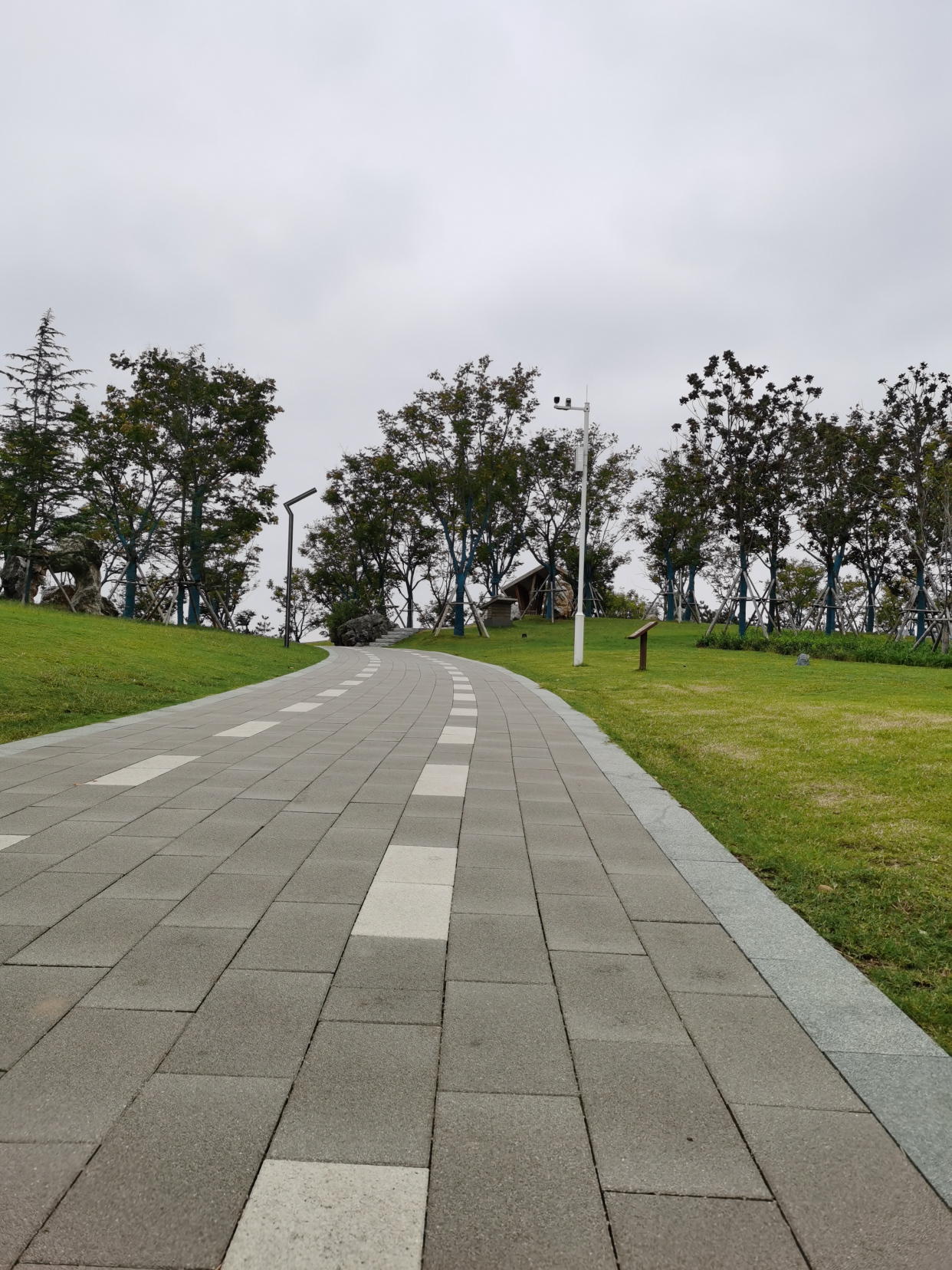 見過這麼少人的鄭州網紅打卡地蝶湖公園嗎?