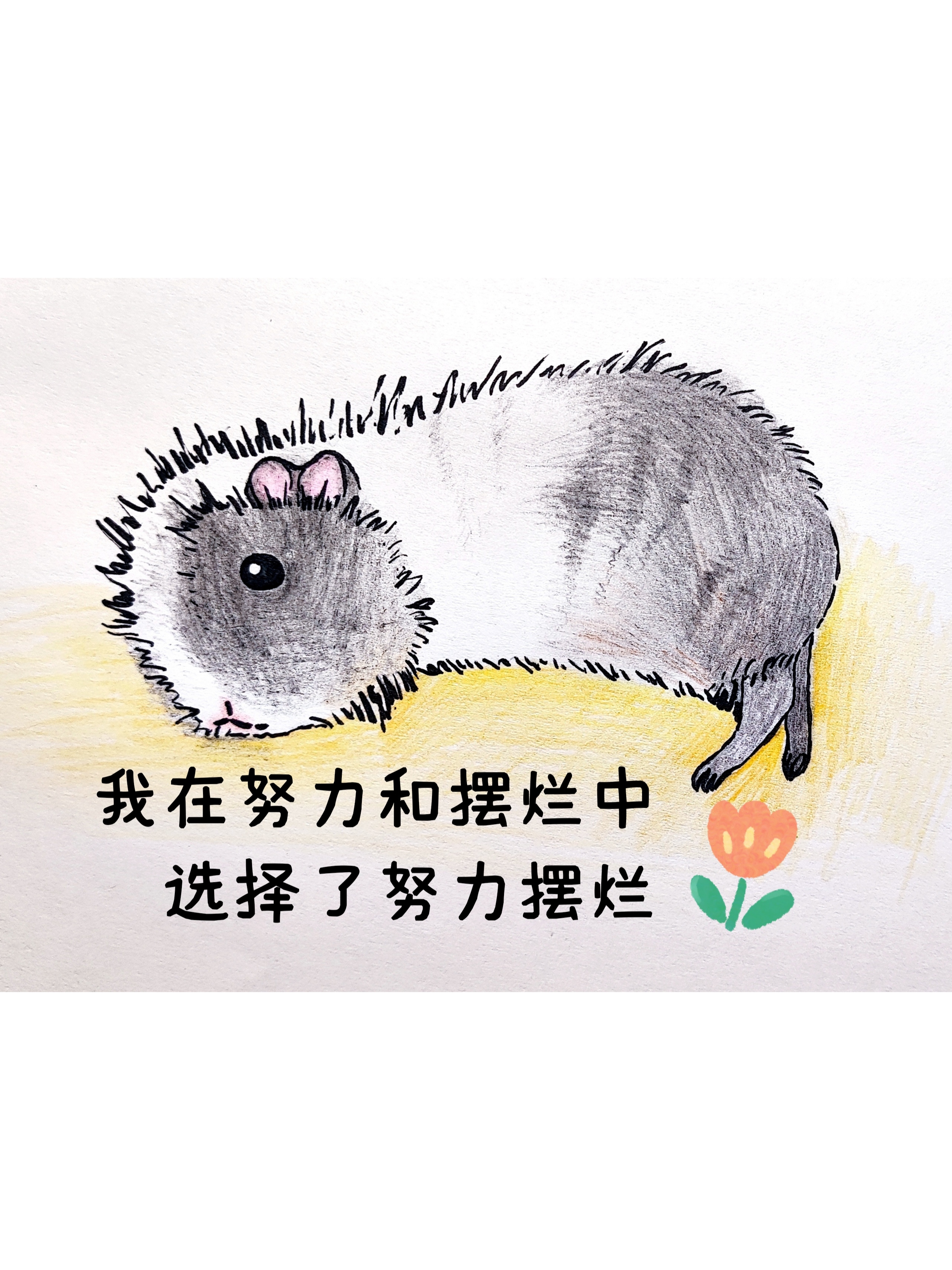 太可爱啦!#线上萌宠评选赛