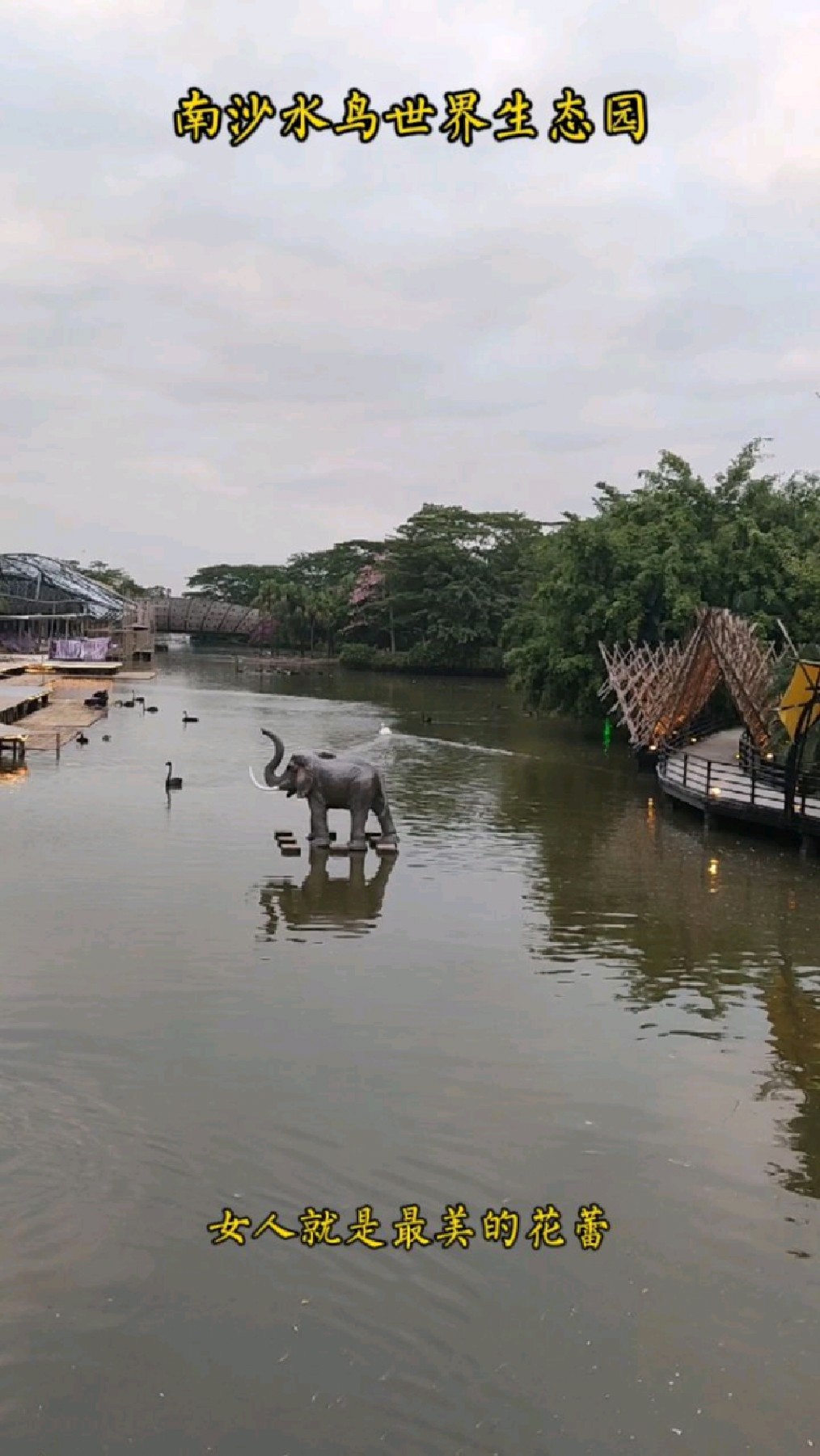 广州天下先生态园图片