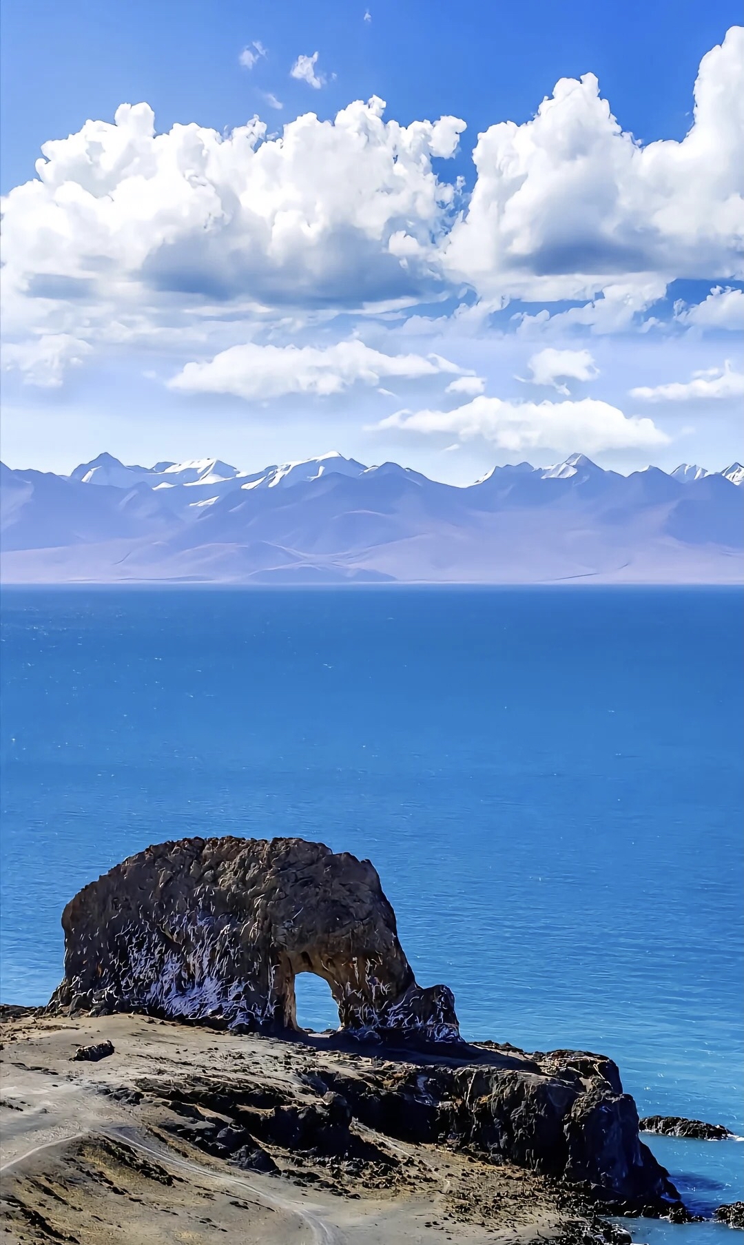 1080_1807竖版 竖屏