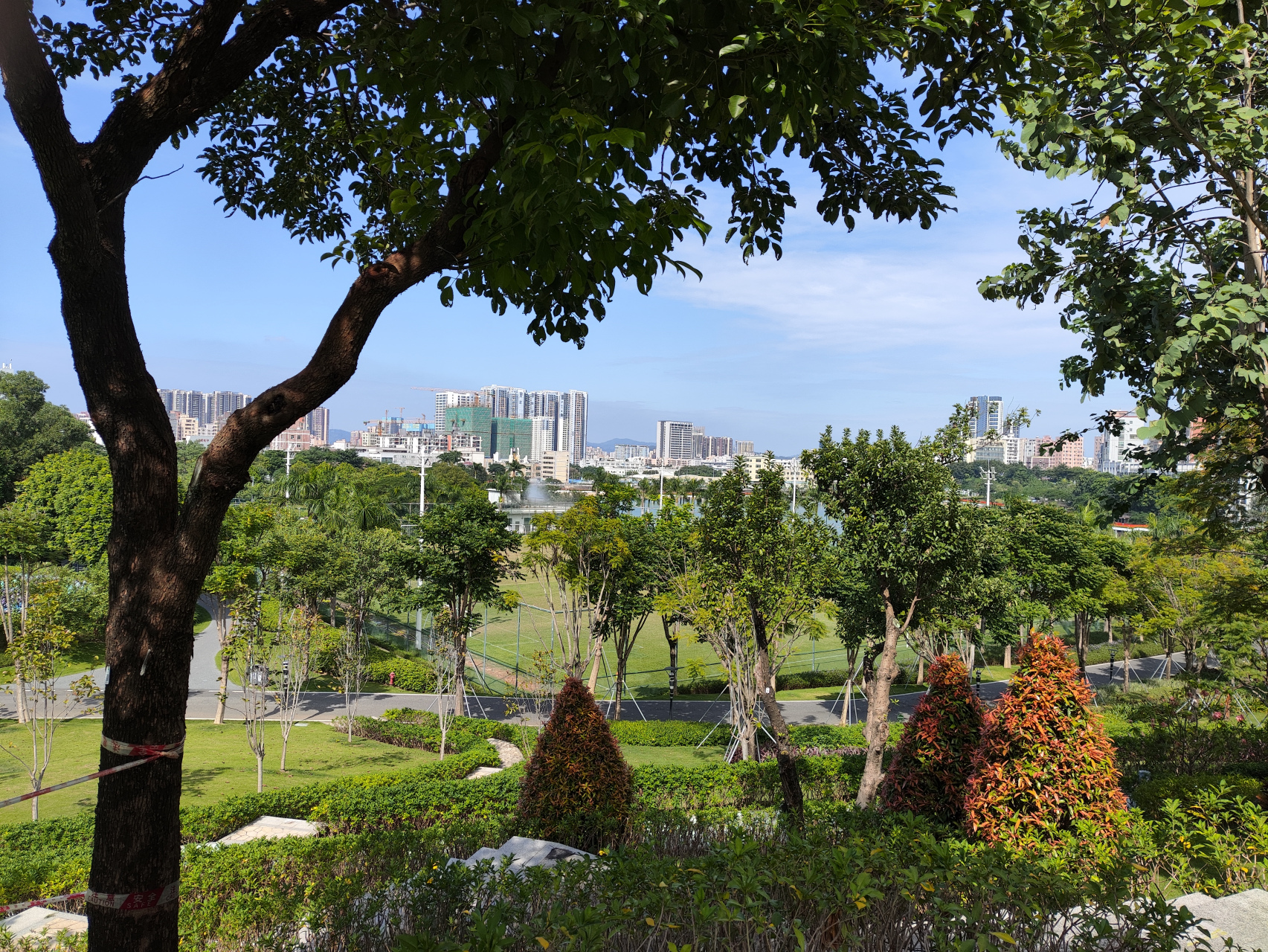 今天重阳节,来到石围公园,天气很好,不冷不热,却发现几乎没有人来