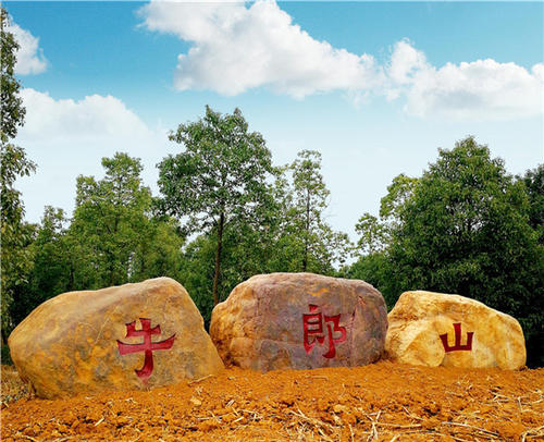 "醉"在牛郎山(随笔)