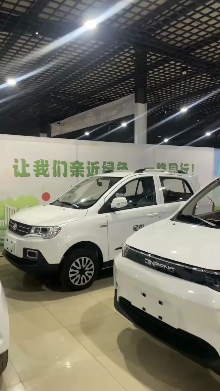 金彭电动汽车家用金彭d90四轮电动车-度小视
