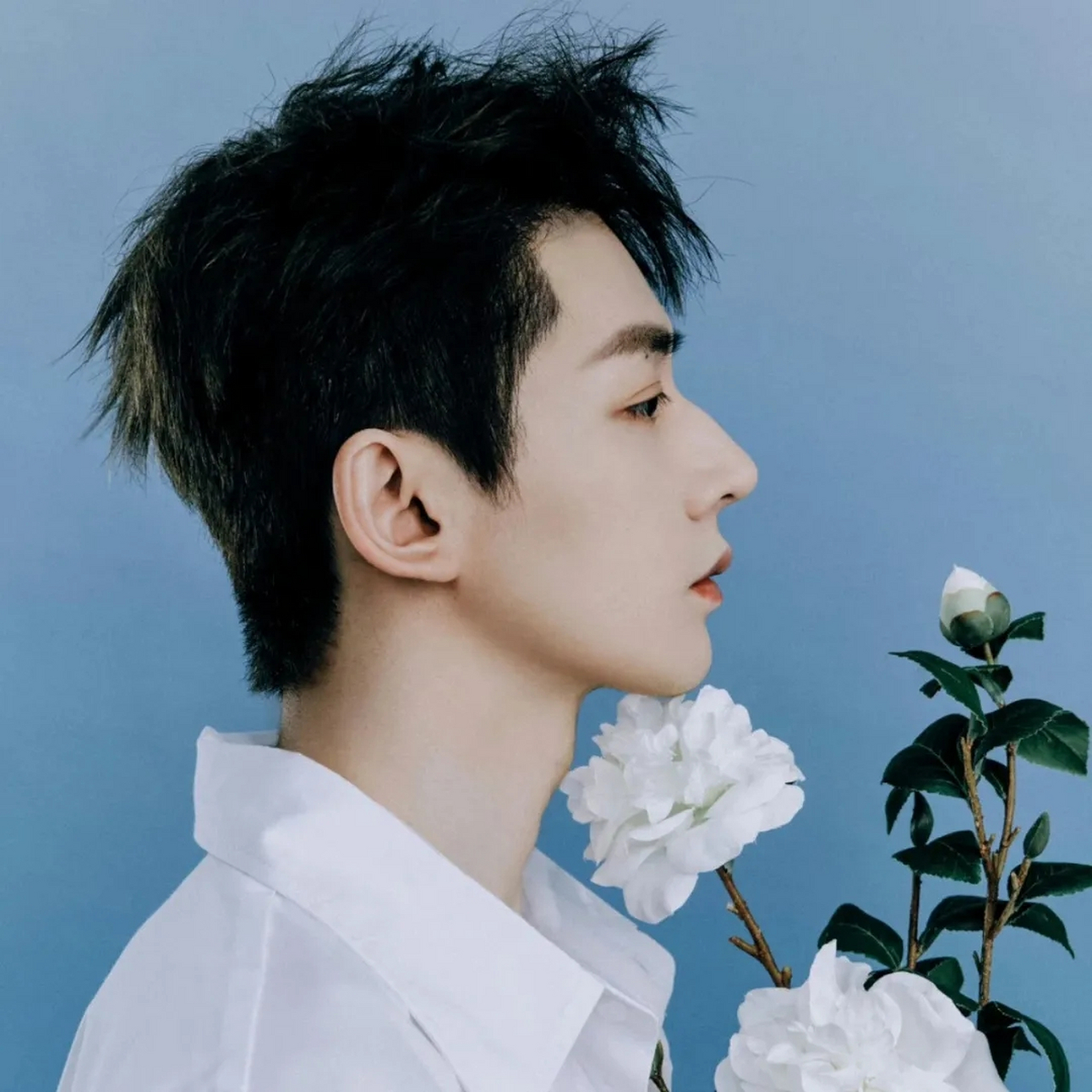 邓为如今走的就是流量路线,所以一旦其热度和话题明显提升,他就会成为