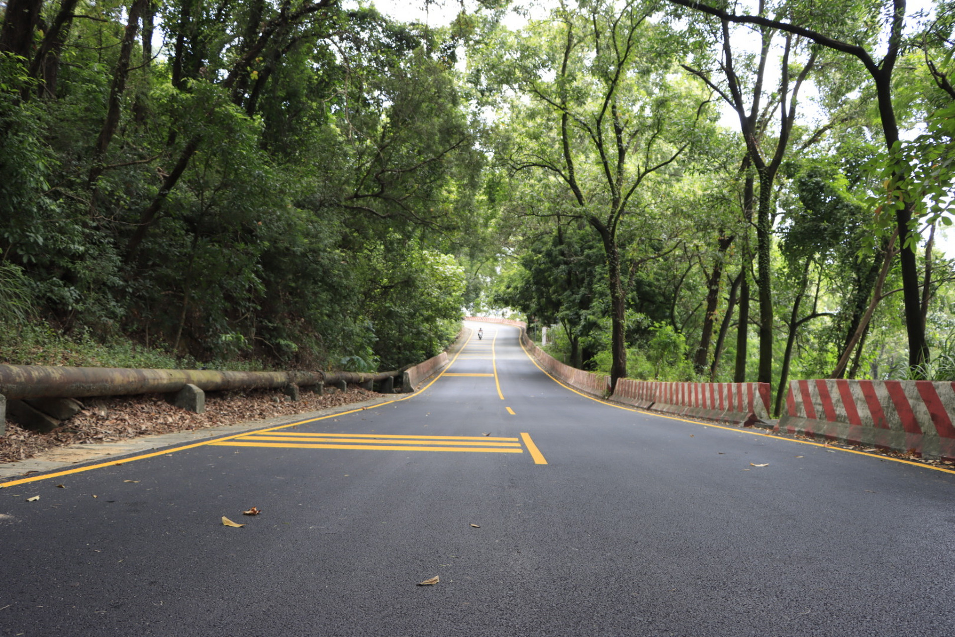 深圳盐田盘山公路风光摄影