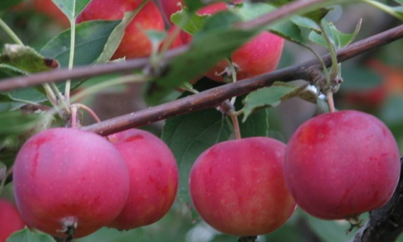 特产- 热门商品专区