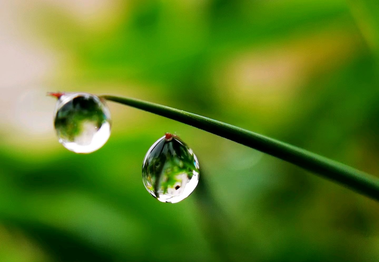 四月里的小雨,淅淅沥沥,下个不停