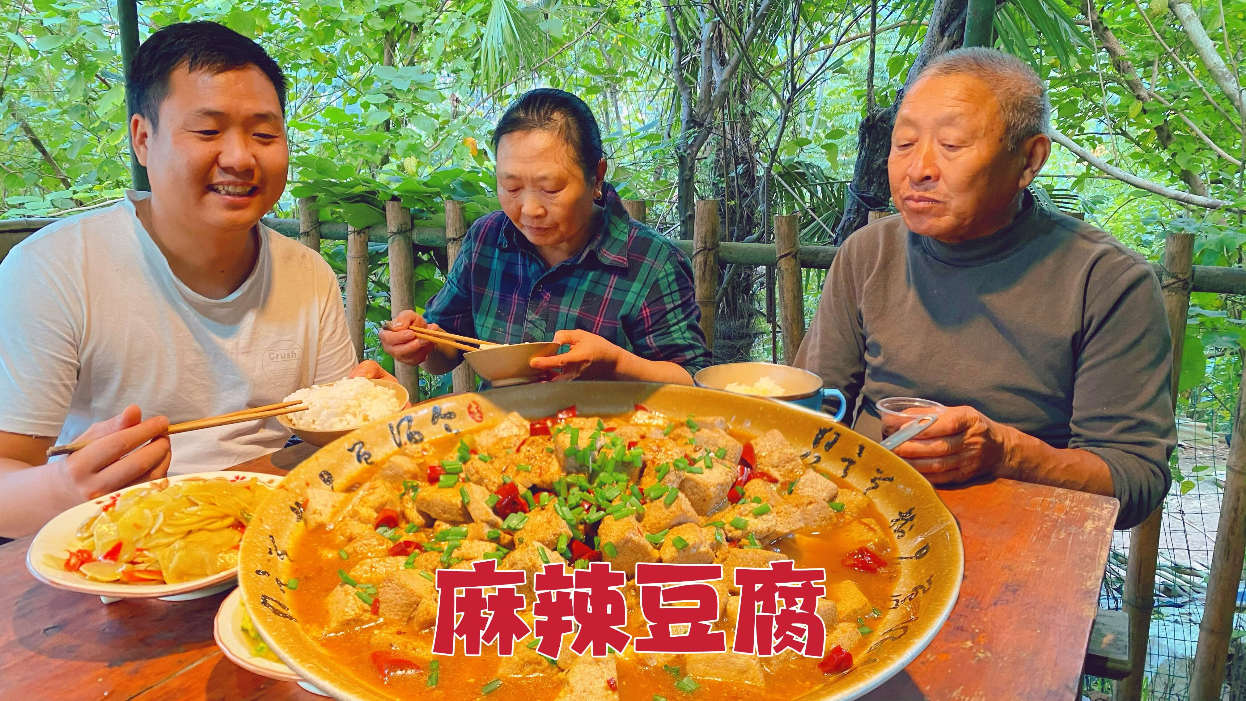 母亲不爱大鱼大肉,现磨点黄豆做豆腐,母亲吃开心了
