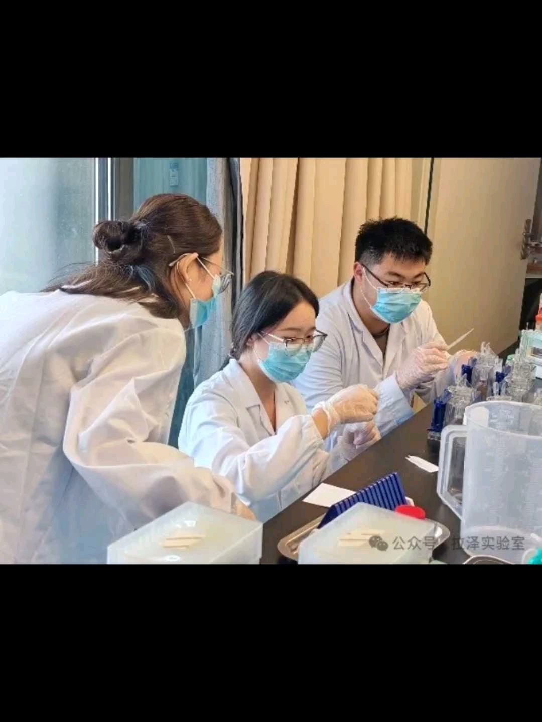主做生物医学实验,动物实验,实验操作技能培训,数据分析整理