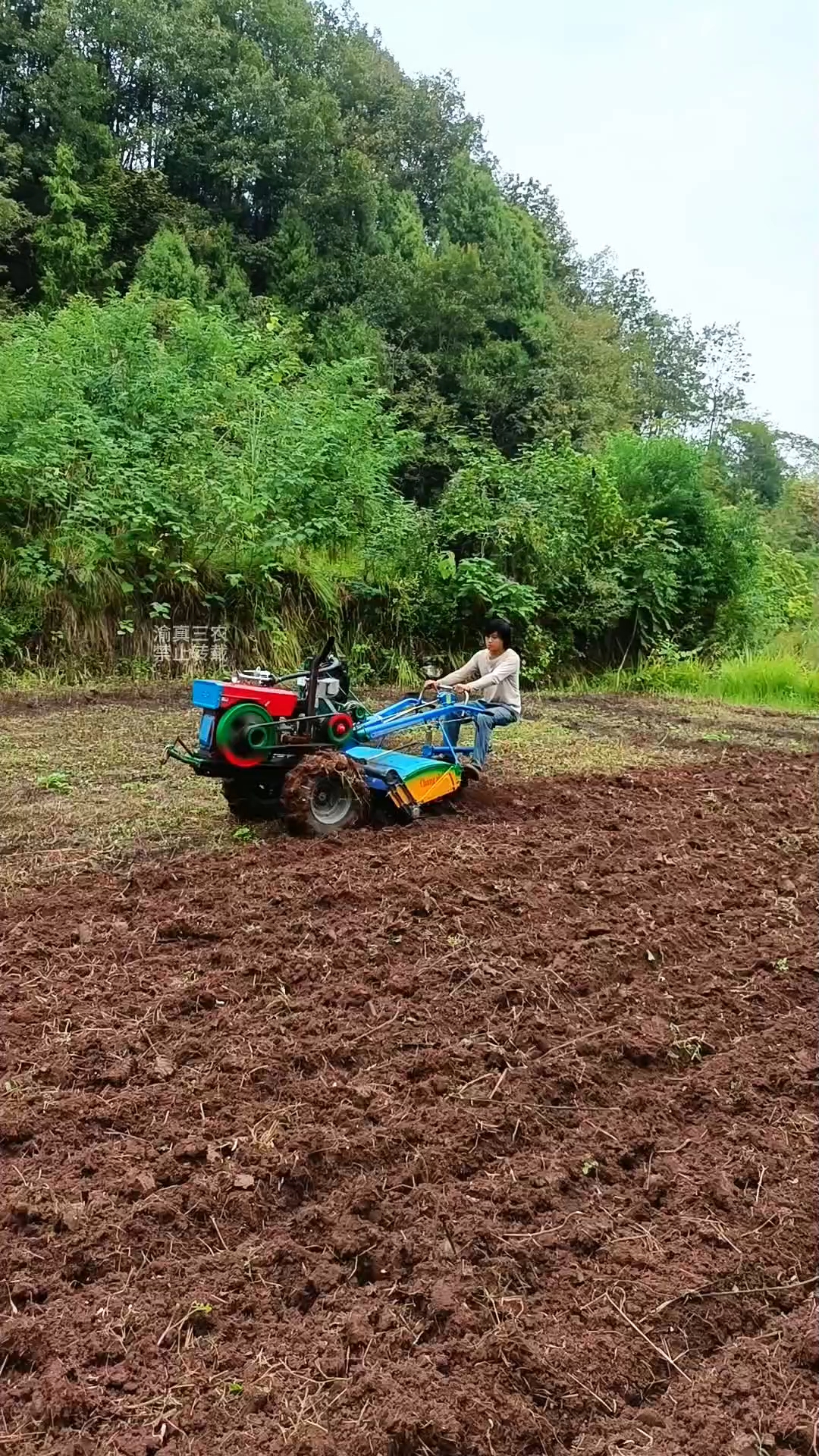 手扶拖拉机耕地 三农