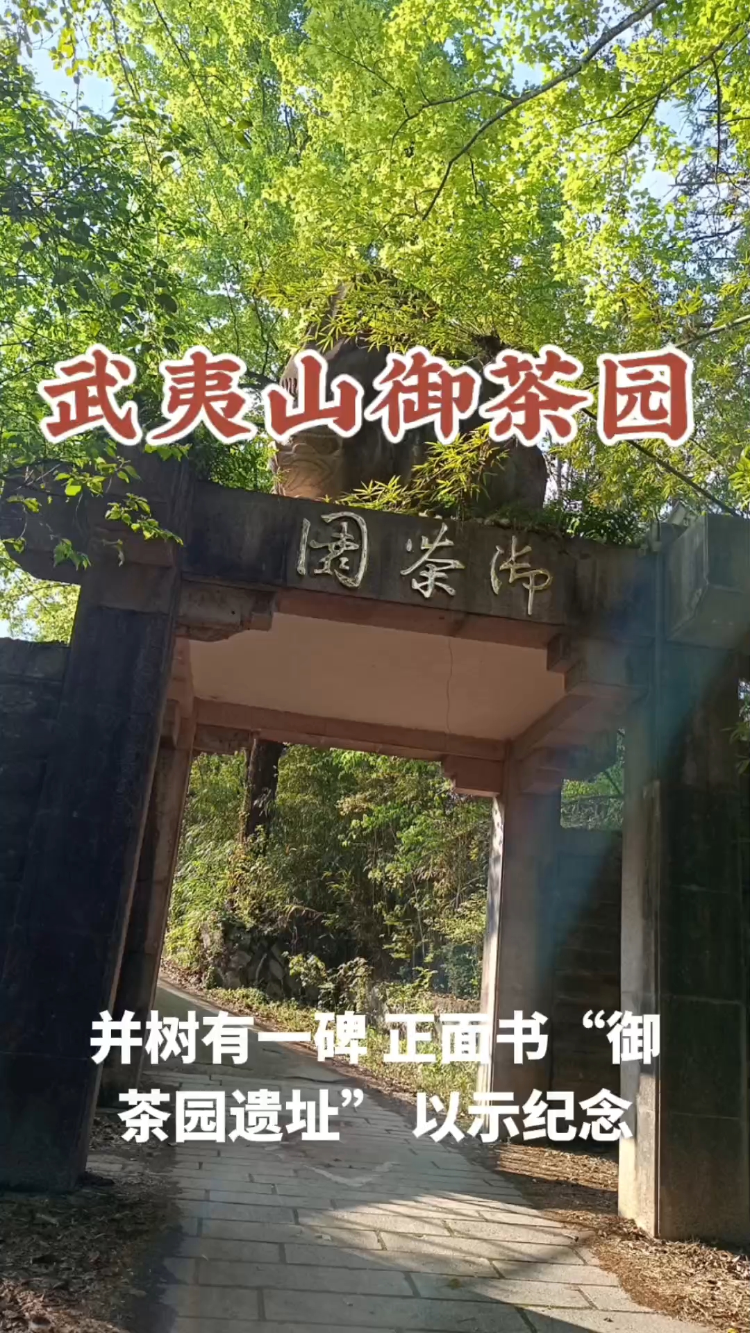武夷山旅游,武夷山御茶园遗址