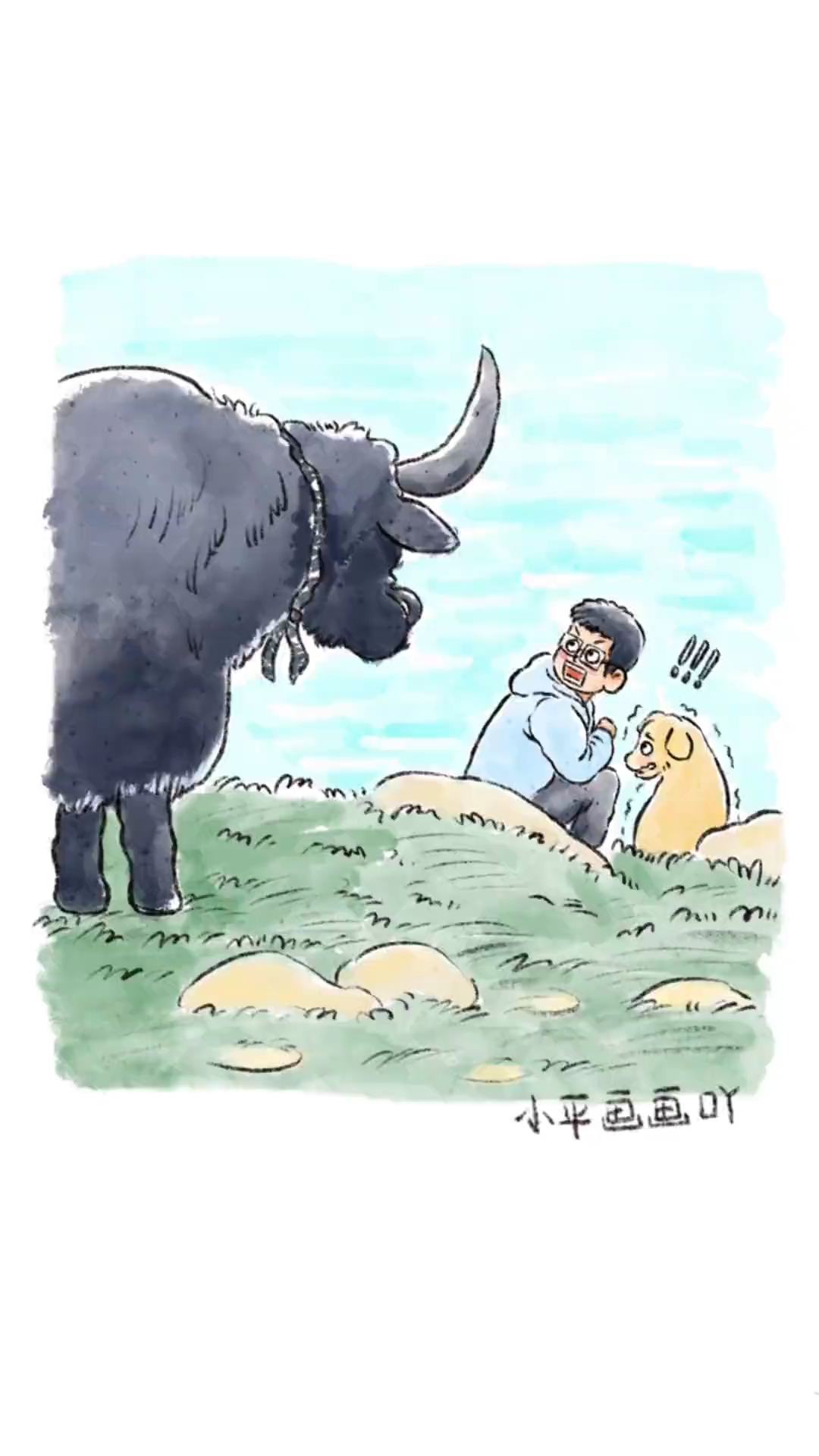 可爱的牛牛