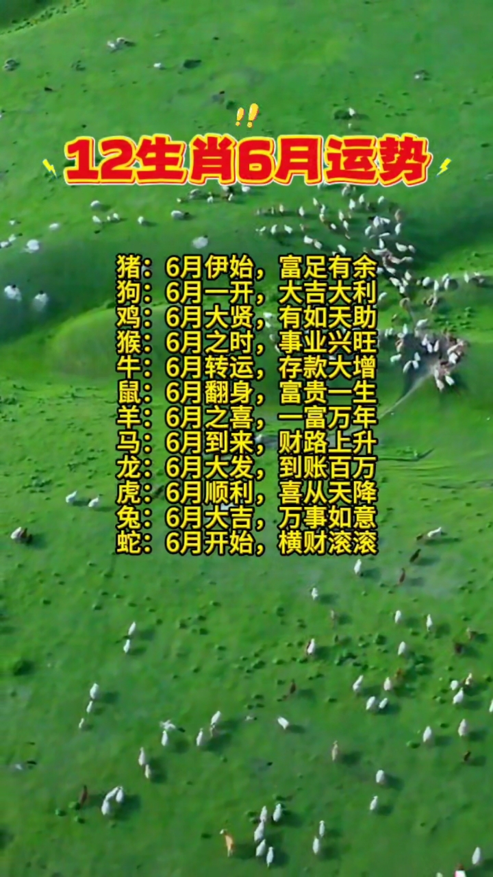 卜易有12生肖运势(2025十二生肖每月运势详解)