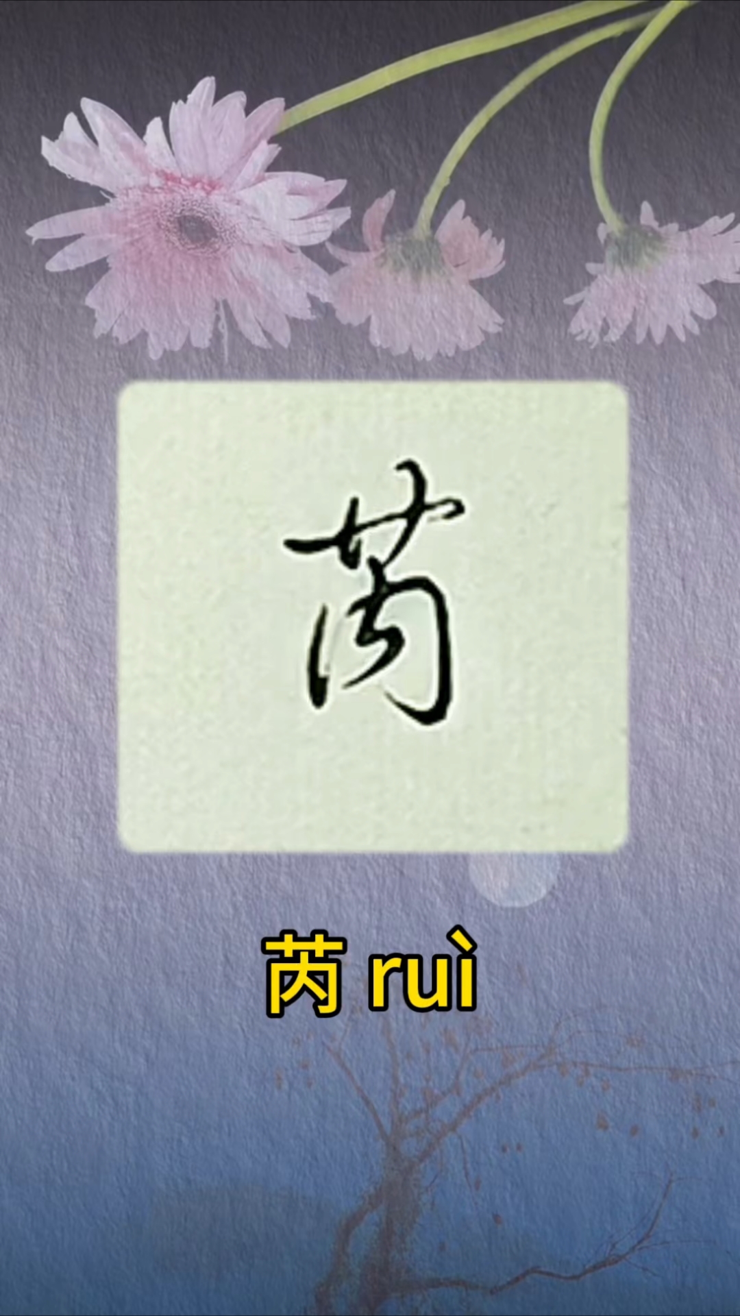 每日一字 芮 百家姓