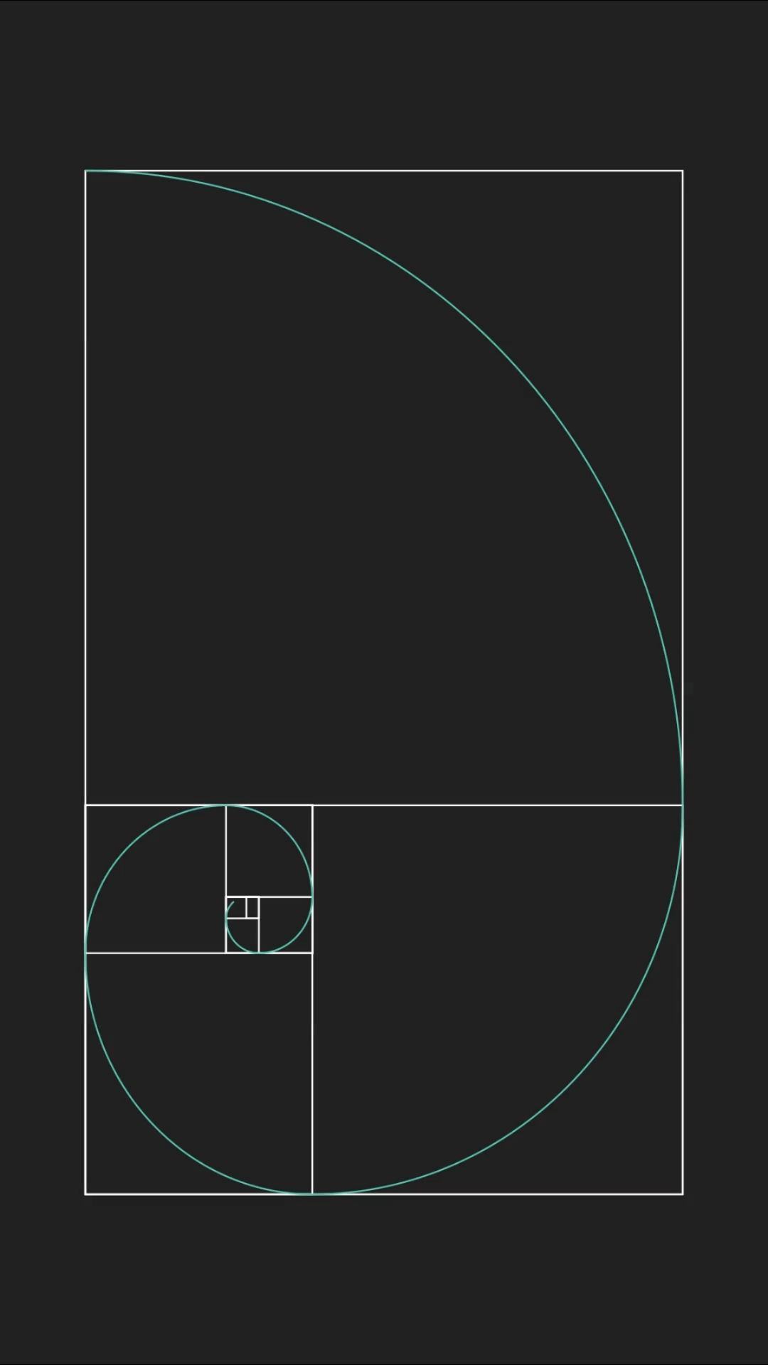 斐波那契螺旋线