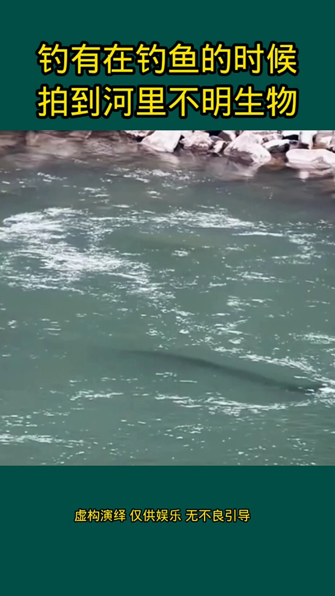 钓友在钓鱼的时候 拍到河里不明生物