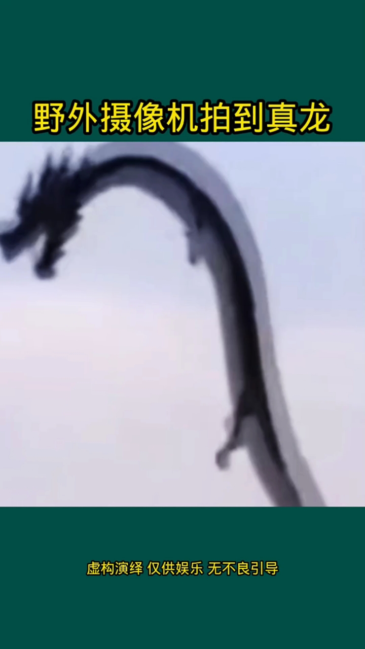 野外摄像机拍到真龙