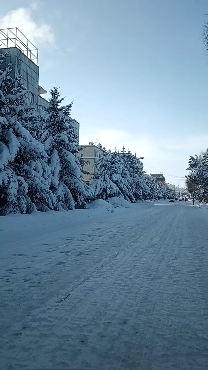 老家雪景图片