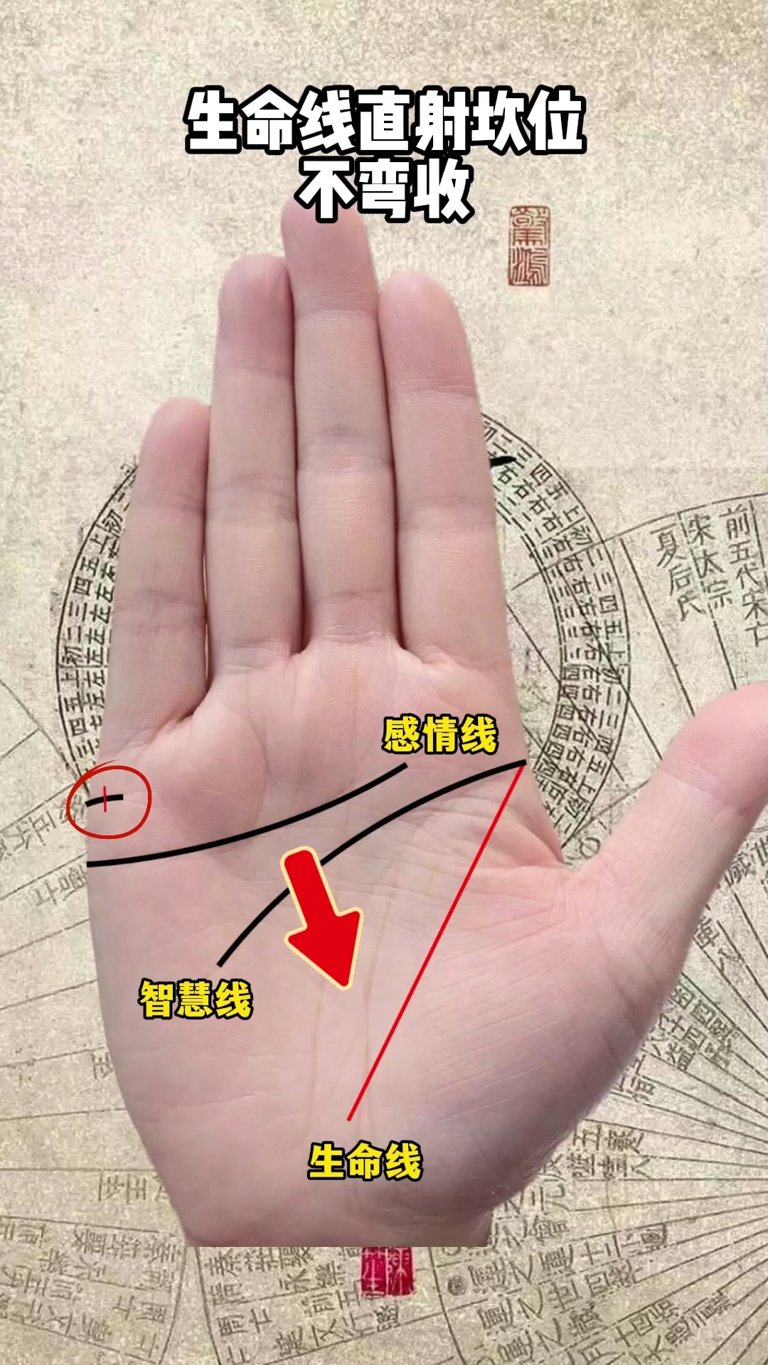 生命线直射坎位掌纹