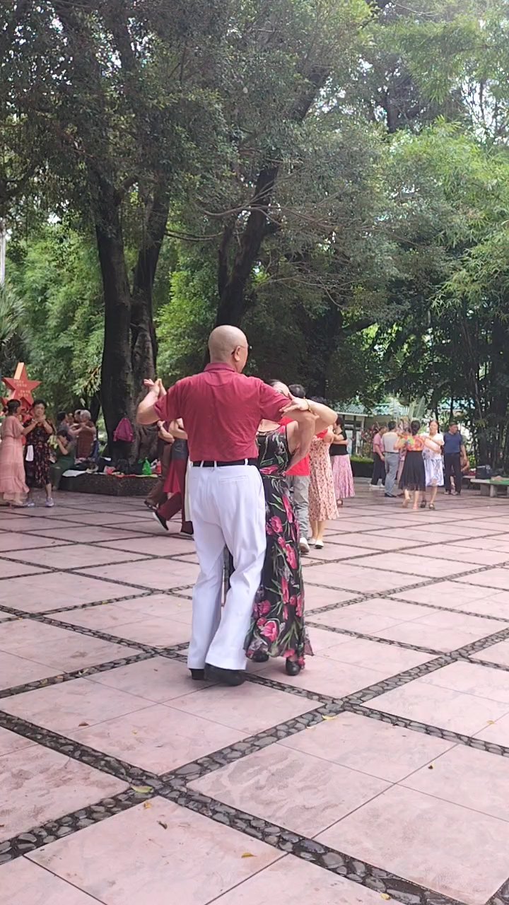 广州晓港公园是跳舞老人的天堂