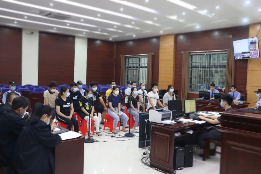 【我为群众办实事】港口区法院公开审理一起组织领导传销活动罪案件