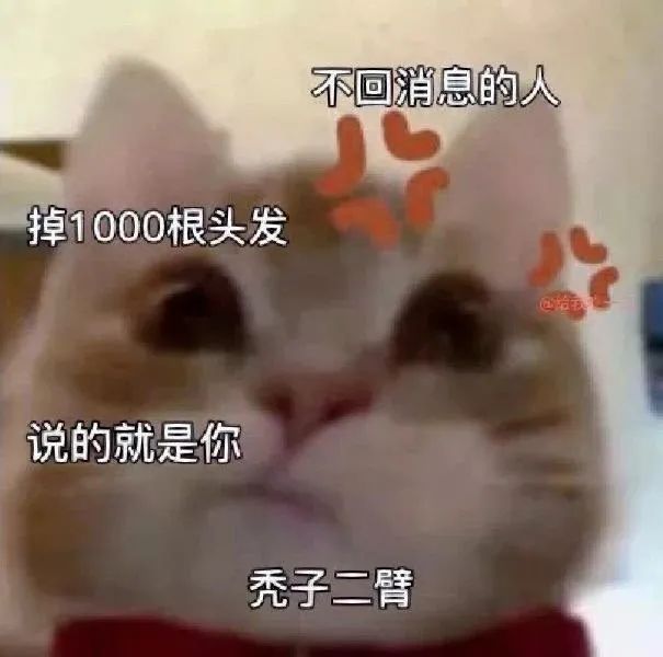 歪嘴可爱小猫表情包系列汇总