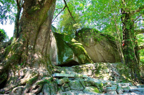 江西明月山