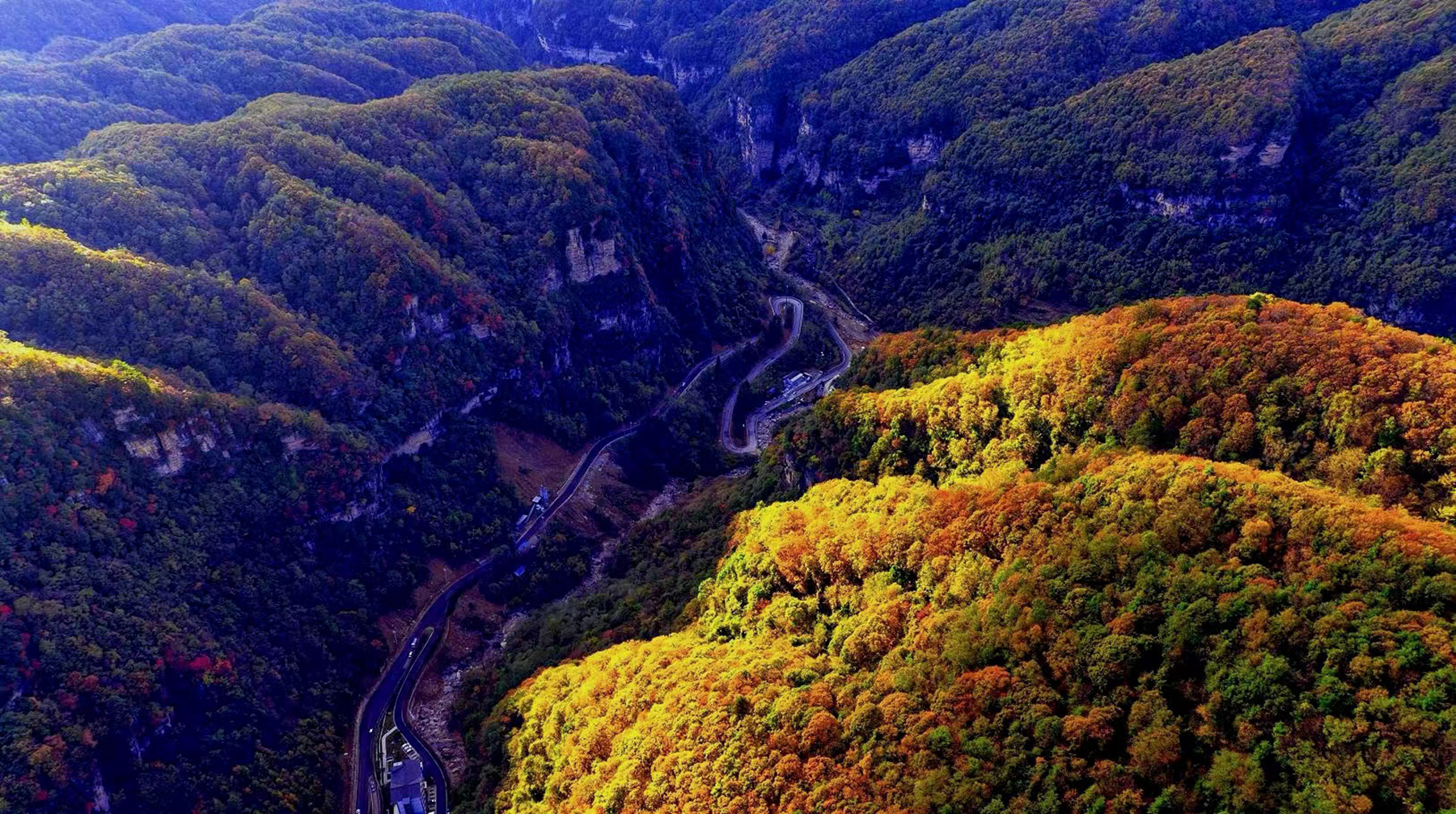 高清大图:广元摄影师航拍旺苍盐河秋天,层林尽染,美得像画!