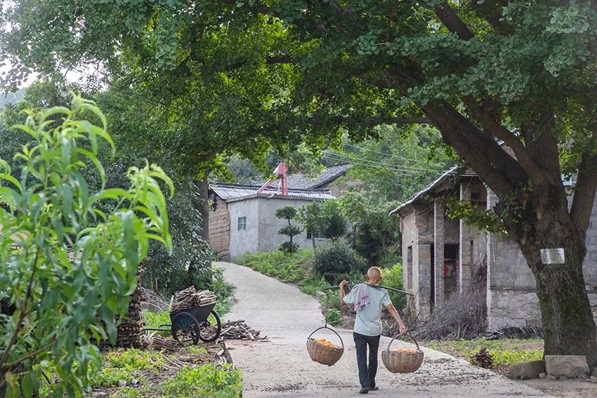 信阳罗山县:鸡笼山豫风楚韵浓,土房变民宿游客盈门