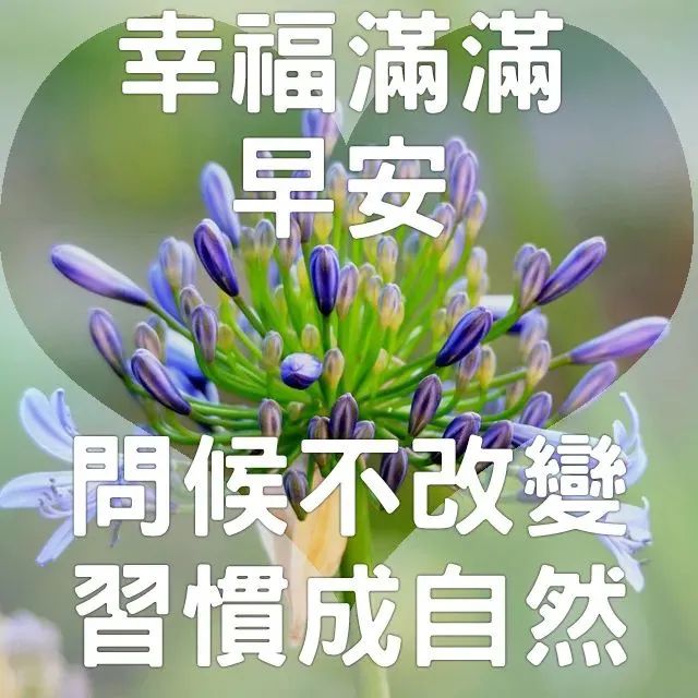 创意好看的亲人朋友圈早上好祝福语图片 清晨早安问候祝福图片