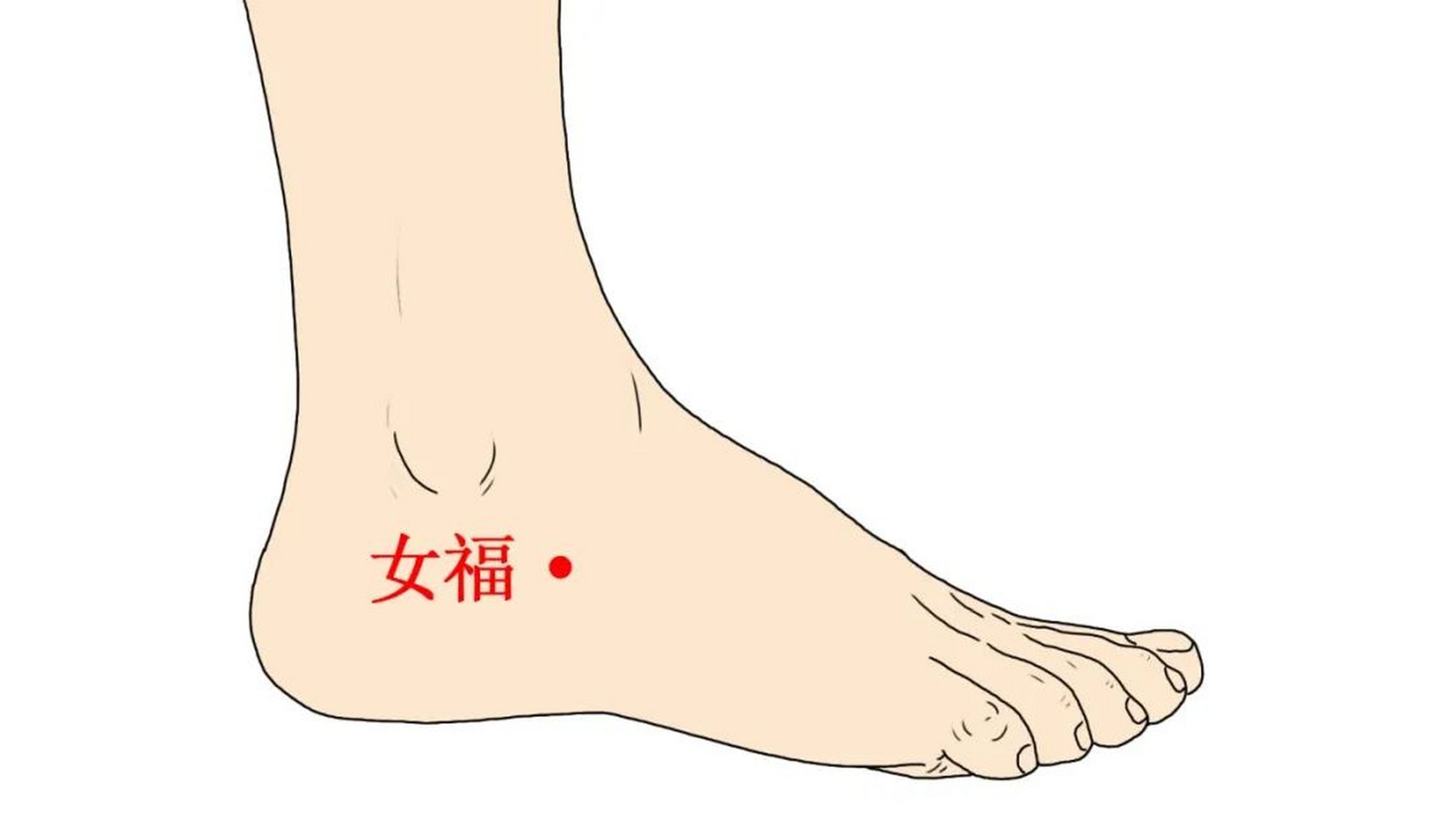 以穴养血,可以调理痛经的"女福穴",你了解吗?