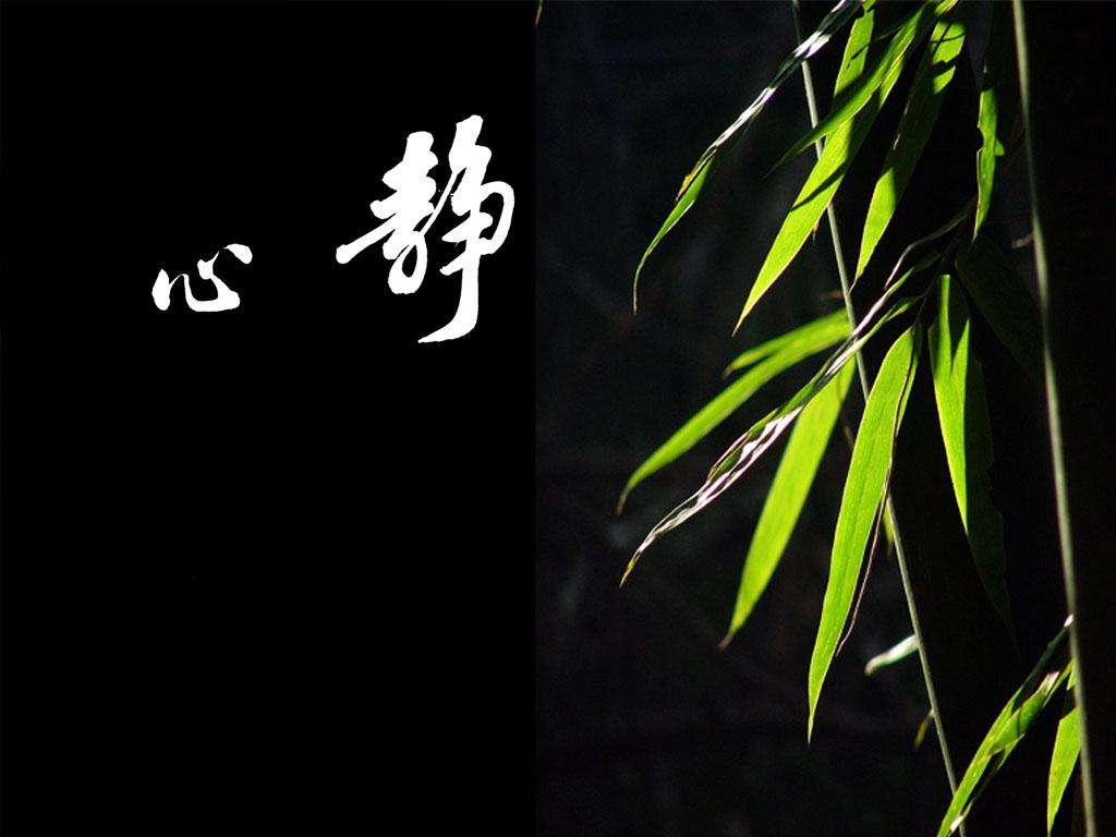 清静为天下正丨恬淡虚无,真气从之;精神内守,病安从来