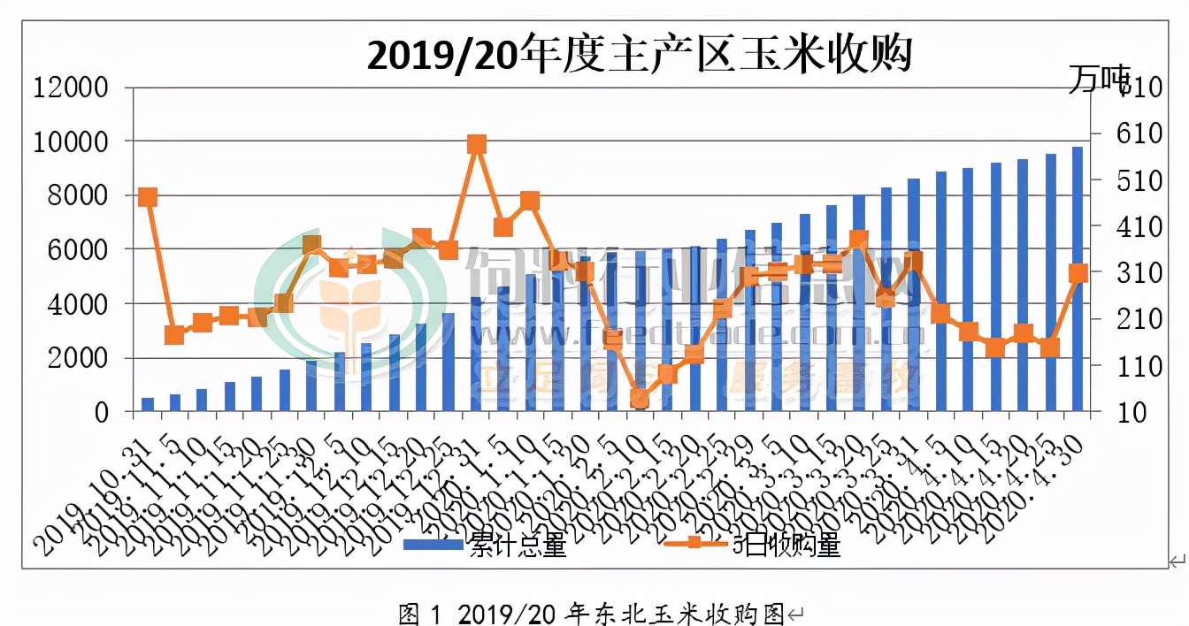 相較往年 今年主產區玉米收購進度有何變化?