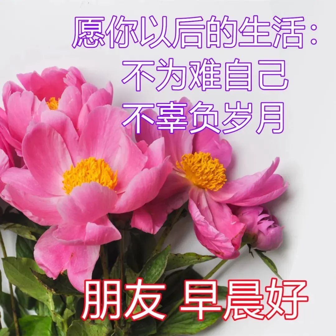 春季早安漂亮问候图片短信祝福语 最美早上好问候语录祝福图片