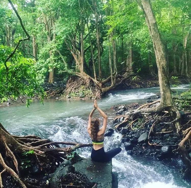 森林浴:亲近自然,真的可以治愈心灵