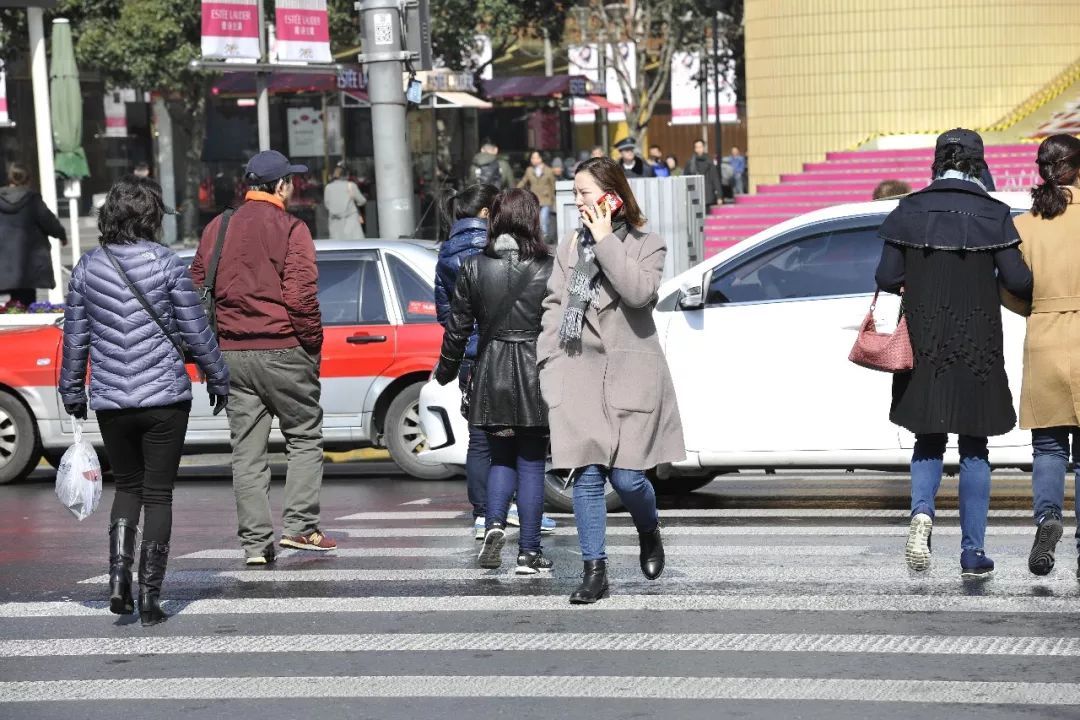 主题就是机动车礼让行人