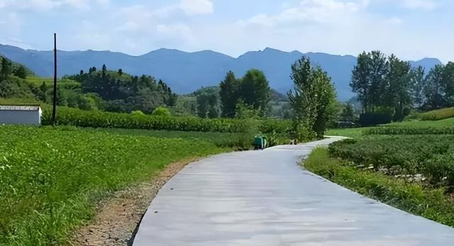 为什么农村水泥路反成为村民的"眼中钉"?村村通成"村村苦"
