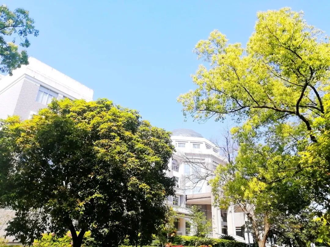 教育资讯丨临海外国语学校:栉风沐雨廿余载 春华秋实满庭芳