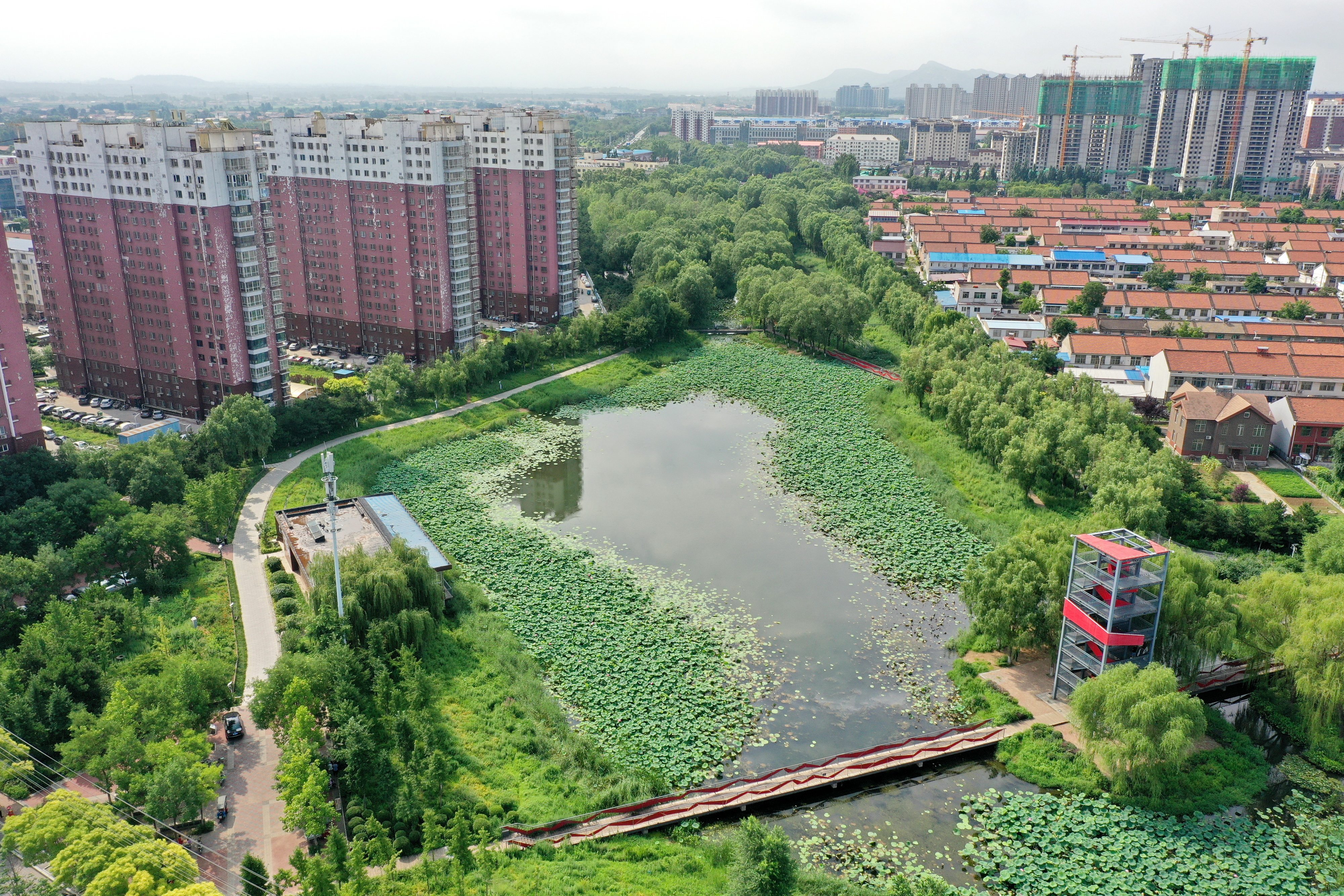 润"城"细无声—河北迁安打造海绵城市(8)