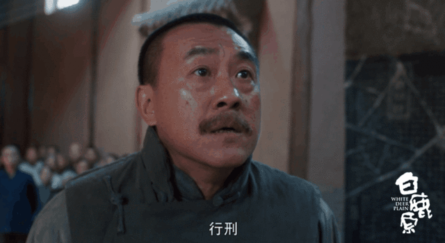 认为鹿子霖应该是观众一眼看上去就恨得牙痒痒的人,比如表情是阴鸷的